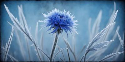 Primary subject: A single blue flower with frost on it.

Setting/background: The flower is in a field with a blue sky in the background.

Visual style: The image is a digital artwork.

Colors and mood: The dominant colors are blue and white, creating a serene and peaceful atmosphere.