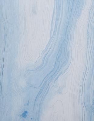 The primary subject of the image is a blue and white patterned wall. The setting is a room with a blue and white wallpaper, which creates a visually appealing and cohesive atmosphere. The visual style of the image is a combination of a photo and a digital art, as it captures the intricate details of the wallpaper while maintaining a modern and artistic appearance. The dominant colors in the image are blue and white, which create a calming and serene mood.
