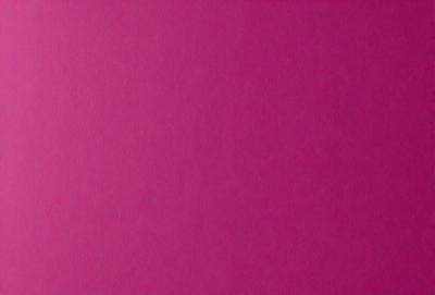 The primary subject of the image is a large, pink wall. The setting is a room with a pink background, and the visual style is a close-up of the wall. The colors and mood of the image are predominantly pink, creating a warm and inviting atmosphere.