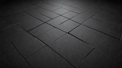 The primary subject of the image is a black tile floor. The setting is a room with a black tile floor, which is the main object of the image. The visual style is a black and white photo, giving the image a classic and timeless appearance. The colors and mood of the image are predominantly black, creating a sense of depth and contrast.
