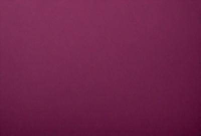 The primary subject of the image is a large, purple wall. The setting is a room with a purple background, which creates a unique and striking visual effect. The visual style of the image is a close-up of the purple wall, emphasizing its color and texture. The dominant colors in the image are purple and pink, giving the scene a warm and inviting atmosphere.