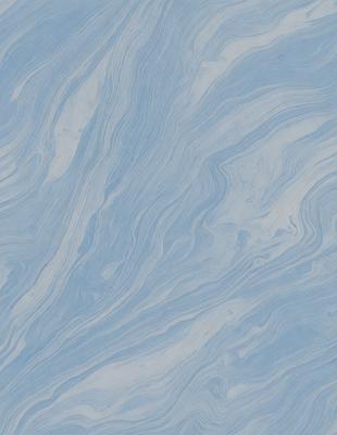 The primary subject of the image is a blue and white patterned surface, which appears to be a wall or a piece of artwork. The setting is indoors, with the surface being the main focus of the image. The visual style is a combination of digital art and illustration, creating a unique and eye-catching design. The dominant colors are blue and white, with the blue being the primary color, and the white providing a contrasting background. The overall atmosphere of the image is calm and serene, with the blue and white pattern creating a sense of tranquility and harmony.