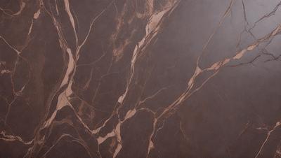 The primary subject of the image is a marble wall with a brown and white pattern. The setting is a room with a brown and white marble floor. The visual style is a close-up of the marble wall, showcasing its intricate design. The colors and mood of the image are warm and elegant, with the brown and white marble creating a sophisticated and luxurious atmosphere.