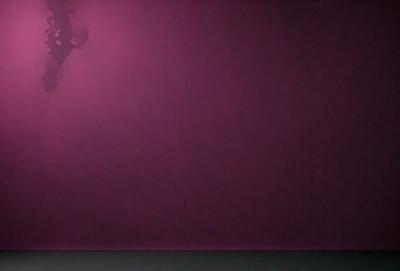 The primary subject of the image is a purple wall. The setting is a dark room, and the visual style appears to be a photo. The dominant colors are purple and black, creating a moody atmosphere.