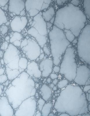 The image features a white marble wall with a blue tint. The wall is covered in a pattern of white and blue spots, giving it a unique and visually appealing appearance. The combination of white and blue creates a sense of depth and contrast, making the wall stand out as a focal point in the space.