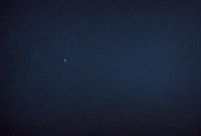 The primary subject of the image is a bird flying in the sky. The bird is positioned in the middle of the scene, with a crescent moon visible in the background. The sky is dark, creating a moody atmosphere. The visual style of the image is a photo, capturing the bird in flight against the night sky.