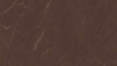 The primary subject of the image is a brown marble tile. The setting is a wall, and the visual style is a close-up of the tile. The colors and mood of the image are warm and earthy, with the brown marble tile being the main focus.