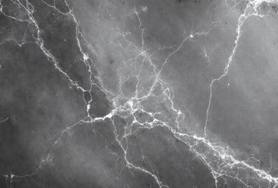The primary subject of the image is a close-up of a marble surface with a pattern of veins. The setting is a dark room, and the visual style is a black and white photo. The colors and mood of the image are predominantly dark, with the marble surface being the main focus.