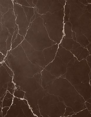 The image features a marble wall with a brown and white color scheme. The marble wall is textured and has a natural appearance. The setting appears to be a room with a brown and white color scheme, giving it a warm and inviting atmosphere. The visual style of the image is a close-up of the marble wall, showcasing its unique texture and design.