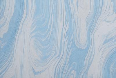 The primary subject of the image is a blue and white patterned wallpaper. The setting is a room with a blue and white wallpapered wall. The visual style is a patterned wallpaper, which gives the room a unique and artistic atmosphere. The dominant colors are blue and white, creating a calming and soothing mood in the space.