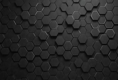 The primary subject of the image is a black and white patterned wall. The setting is a black background, and the visual style is a patterned wallpaper. The dominant colors are black and white, creating a bold and striking atmosphere.