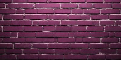 The primary subject of the image is a brick wall, which is the main object, scene, or focus of the image. The setting/background consists of a purple brick wall, which is the visible environment, backdrop, or surface. The visual style of the image is a photo, as it is a real-life brick wall. The colors and mood of the image are predominantly purple, giving it a unique and distinctive appearance.