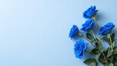 The primary subject of the image is a bouquet of blue roses. The setting is a blue background, which creates a visually appealing contrast with the blue roses. The visual style is a close-up of the flowers, showcasing their beauty. The colors and mood of the image are predominantly blue, giving it a calm and serene atmosphere.