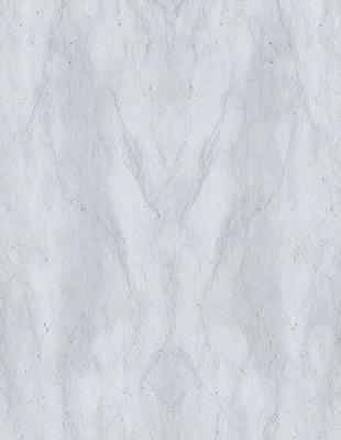 The primary subject of the image is a marble wall with a pattern of white and gray veins. The setting is a room with a white marble wall, and the visual style is a close-up of the marble wall. The colors and mood of the image are predominantly white and gray, giving it a clean and elegant appearance.