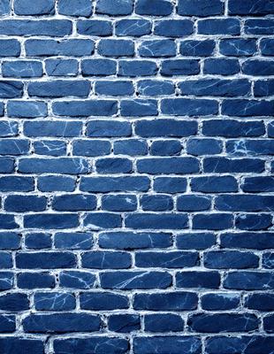 The primary subject of the image is a blue brick wall. The setting is a brick wall, and the visual style is a photo. The dominant colors are blue and gray, creating a calm and serene atmosphere.