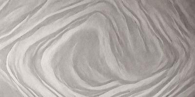 The primary subject of the image is a large, curved, and textured surface, which appears to be a drawing or a pattern. The setting is a gray background, which complements the artistic nature of the subject. The visual style is a combination of drawing and digital art, creating a unique and intricate design. The colors and mood of the image are predominantly gray, giving it a calm and sophisticated atmosphere.