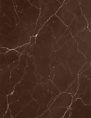 The primary subject of the image is a marble surface with a brown color. The setting is a room with a brown marble wall, and the visual style is a close-up of the marble surface. The colors and mood of the image are warm and earthy, with the marble surface being the main focus.
