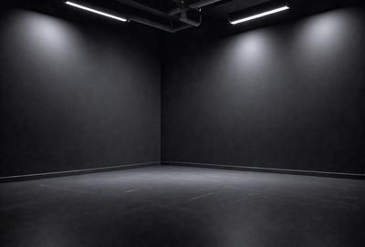 The primary subject of the image is a large, dark room with a black wall. The setting is a black room with a black wall, and the visual style is a black and white photo. The colors and mood of the image are predominantly dark and moody, creating a sense of mystery and intrigue.