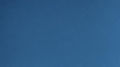 The primary subject of the image is the sky, which is a deep blue color. The setting is a clear day with no clouds, and the background is a vast expanse of open space. The visual style is a natural, outdoor scene, and the colors and mood are serene and peaceful.