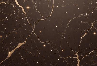 The primary subject of the image is a black marble wall with a gold star pattern. The setting is a dark room, and the visual style is a close-up of the marble wall. The colors and mood of the image are predominantly dark, with the gold stars providing a touch of warmth and contrast.