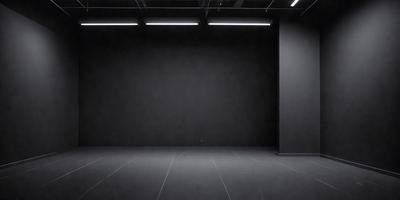 The primary subject of the image is a large, dark room with a black wall. The setting is a black box, which appears to be a theater or a similar indoor space. The visual style is a black and white photo, giving the image a classic and dramatic feel. The colors and mood are predominantly dark and moody, with the black wall and the black box creating a sense of mystery and intrigue.