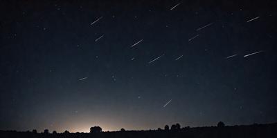The primary subject of the image is a night sky filled with stars. The setting is a dark, open field, and the visual style is a black and white photo. The colors and mood of the image are predominantly dark and moody, with the stars and the night sky creating a sense of mystery and wonder.