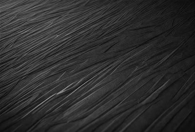 The primary subject of the image is a black and white pattern, which appears to be a painting or drawing. The setting is a black background, and the visual style is artistic. The colors and mood of the image are predominantly dark and moody, with the black and white pattern creating a dramatic and striking effect.