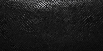 The primary subject of the image is a close-up of a snake's skin. The snake's skin is black and features a pattern of scales. The setting is a dark background, which emphasizes the snake's skin texture. The visual style is a close-up, focusing on the intricate details of the snake's skin. The colors and mood of the image are dark and mysterious, creating an atmosphere of mystery and fascination.