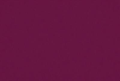 The primary subject of the image is a purple wall. The setting is a room with a purple wall, and the visual style is a close-up of the wall. The colors and mood of the image are predominantly purple, creating a calm and serene atmosphere.