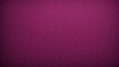 The primary subject of the image is a large, purple wall. The setting is a room with a purple background, which creates a unique and striking visual effect. The visual style of the image is a close-up of the purple wall, emphasizing its vibrant color. The colors and mood of the image are predominantly purple, giving it a calm and serene atmosphere.