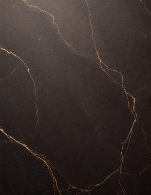 The primary subject of the image is a marble countertop with a black background. The countertop features a pattern of yellow streaks, giving it a unique and visually appealing appearance. The visual style of the image is a close-up of the marble countertop, showcasing its intricate details. The colors and mood of the image are predominantly black and yellow, creating a bold and striking contrast.