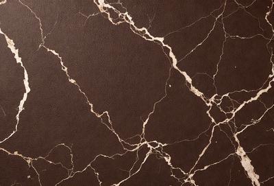 The primary subject of the image is a close-up of a marble wall with a brown and white pattern. The setting is a room with a brown leather wall, which adds a warm and luxurious touch to the space. The visual style is a realistic representation of the marble wall, showcasing its natural texture and patterns. The colors and mood of the image are warm and inviting, with the brown leather wall complementing the brown and white marble pattern.