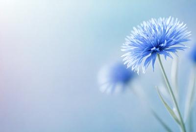 The primary subject of the image is a single blue flower, which is the main focus of the scene. The setting is a blue sky, creating a serene and calming atmosphere. The visual style is a close-up of the flower, showcasing its details and beauty. The dominant colors are blue and white, which contribute to the overall mood of the image.