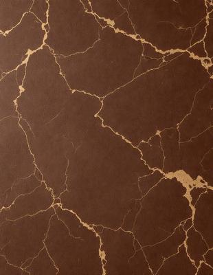 The primary subject of the image is a close-up of a brown marbled wall. The setting is indoors, with the wall being the main focus of the scene. The visual style appears to be a photo, capturing the intricate details of the marbled wall. The colors and mood of the image are warm and earthy, with the brown marbled wall being the dominant color.