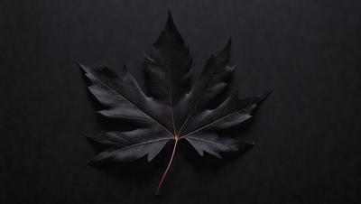The primary subject of the image is a black leaf, which is the main object, scene, or focus of the image. The leaf is placed on a black background, creating a striking contrast. The visual style of the image is a photo, capturing the details of the leaf. The colors and mood of the image are predominantly dark, with the black leaf being the most prominent element.