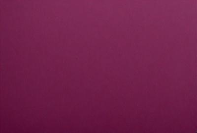 The primary subject of the image is a large, pink wall. The setting is a room with a pink background, and the visual style is a close-up of the wall. The dominant colors in the image are pink, and the overall atmosphere is warm and inviting.