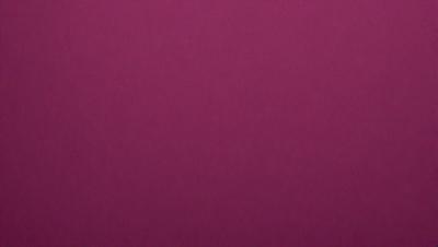 The primary subject of the image is a large, pink wall. The setting is a room with a pink background, and the visual style is a close-up of the wall. The dominant colors in the image are pink, and the overall atmosphere is warm and inviting.