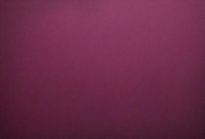 The primary subject of the image is a large, pink wall. The setting is a room with a pink background, and the visual style is a close-up of the wall. The dominant colors in the image are pink, and the overall atmosphere is warm and inviting.
