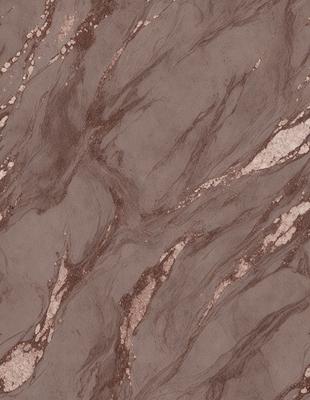 The primary subject of the image is a marble-like surface with a pattern of swirls and grooves. The setting is a stone wall, and the visual style appears to be a close-up of the marble surface. The colors and mood of the image are predominantly brown and earthy, giving it a natural and textured appearance.