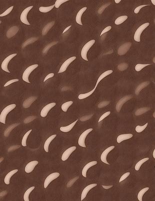 The primary subject of the image is a pattern of teeth, which are arranged in a circular or spiral shape. The setting is a brown surface, possibly a wall or a piece of fabric. The visual style is a combination of a photo and a drawing, creating a unique and intriguing pattern. The colors and mood of the image are predominantly brown, giving it a warm and earthy feel.