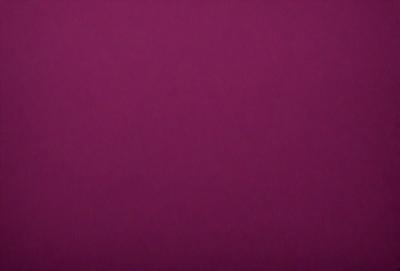 The primary subject of the image is a purple wall. The setting is a room with a purple wall, and the visual style is a close-up of the wall. The dominant colors are purple, and the overall atmosphere is calm and serene.