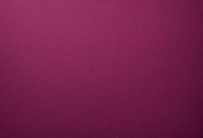The primary subject of the image is a large, pink wall. The setting is a room with a pink background, and the visual style is a close-up of the wall. The dominant colors in the image are pink, and the overall atmosphere is warm and inviting.