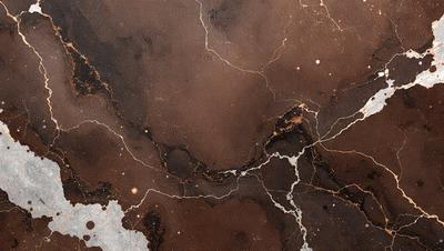 The primary subject of the image is a close-up of a marble surface with a brown and gold color palette. The setting is a stone wall, and the visual style appears to be a photo. The colors and mood of the image are warm and earthy, creating a sense of natural beauty and elegance.