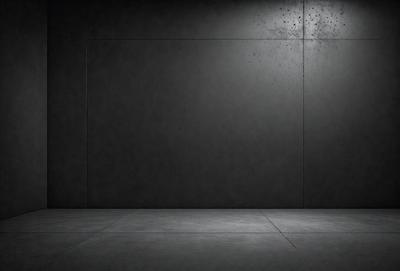 The primary subject of the image is a large, empty room with a black wall. The setting is a dark room with a concrete floor. The visual style is a black and white photo, giving the image a classic and timeless appearance. The colors and mood are predominantly dark and moody, creating a sense of mystery and solitude.