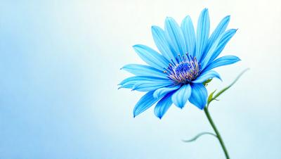 The primary subject of the image is a blue flower with yellow pollen, which is the main focus of the image. The setting is a white background, which provides a clean and minimalistic environment for the flower. The visual style of the image is a close-up of the flower, showcasing its details and beauty. The dominant colors in the image are blue and yellow, creating a calm and serene atmosphere.