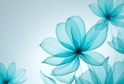 The primary subject of the image is a blue flower with a white center. The setting is a white background, which provides a clean and minimalistic look. The visual style is a digital art, as the flower appears to be a 3D rendering or a digital illustration. The dominant colors are blue and white, creating a calm and serene atmosphere.