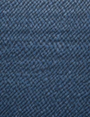 The primary subject of the image is a blue fabric with a woven pattern. The setting is a close-up of the fabric, showcasing its intricate design. The visual style is a detailed, textured representation of the fabric. The colors and mood of the image are predominantly blue, creating a calm and serene atmosphere.