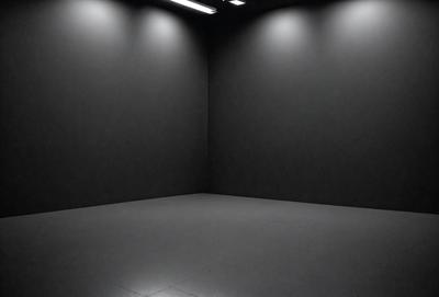 The primary subject of the image is a large, dark room with a white floor. The setting is a black room with a white floor, and the visual style is a photo. The dominant colors are black and white, creating a moody atmosphere.