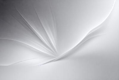 The primary subject of the image is a white sheet of paper. The setting is a white background, which creates a clean and minimalist appearance. The visual style is a close-up of the paper, showcasing its texture and details. The colors and mood of the image are predominantly white, giving it a calm and serene atmosphere.