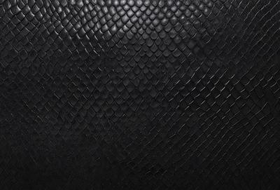 The primary subject of the image is a close-up of a black leather material, possibly a piece of clothing or a leather item. The setting is a black background, which provides a contrasting and dramatic effect. The visual style appears to be a close-up of a leather item, possibly a jacket or a leather purse. The colors in the image are predominantly black, giving the image a bold and striking appearance.
